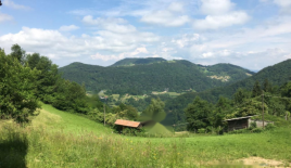 Ферма за 282 000 евро в Литие, Словения