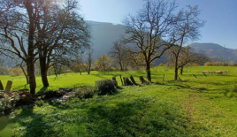 Ферма за 499 000 евро в Камнике, Словения