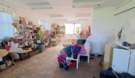 Офис за 250 000 евро в Любляне, Словения