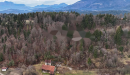 Ферма за 275 000 евро в Мозирье, Словения