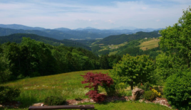 Ферма за 990 000 евро в Муте, Словения