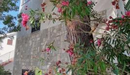 Вилла за 300 000 евро в Баре, Черногория