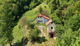 Ферма за 96 000 евро в Птуе, Словения