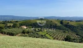 Отель, гостиница в Италии (цена по запросу)