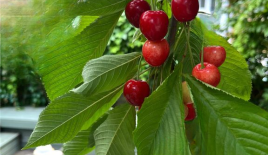 Квартира за 862 500 евро в Лондоне, Великобритания