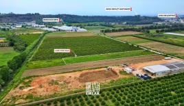 Земля за 1 490 000 евро в Анталии, Турция