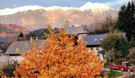 Дом за 690 000 евро в Бледе, Словения