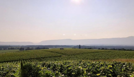 Квартира за 4 033 000 евро в Женеве, Швейцария