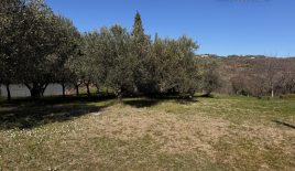 Дом за 1 052 000 евро в Пиране, Словения