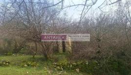 Земля за 15 100 евро в Даниловграде, Черногория