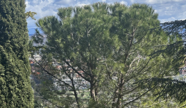 Квартира за 280 000 евро в Копере, Словения