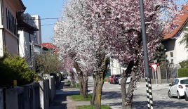 Дом за 960 000 евро в Любляне, Словения
