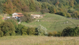 Ферма за 115 000 евро в Сежане, Словения