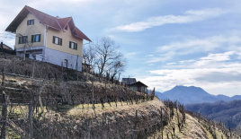 Дом за 78 000 евро в Птуе, Словения