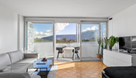 Квартира за 1 046 400 евро в Женеве, Швейцария