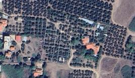 Земля за 92 000 евро в Ситонии, Греция