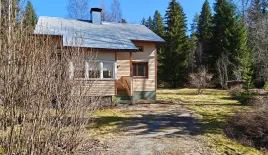 Дом за 15 000 евро в Ямся, Финляндия