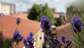 Квартира за 375 000 евро в Копере, Словения