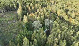 Коттедж за 10 000 евро в Кангасниеми, Финляндия