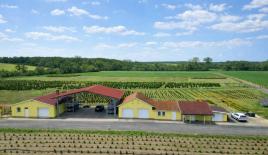 Коммерческая недвижимость за 650 000 евро в Венгрии