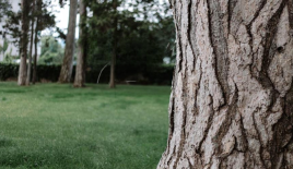 Квартира за 6 104 000 евро в Женеве, Швейцария