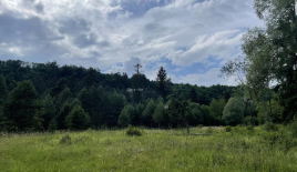 Земля за 273 126 евро в Бледе, Словения
