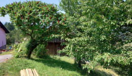 Ферма за 222 222 евро в Равне-на-Корошкем, Словения