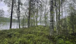 Дом за 35 000 евро в Раутъярви, Финляндия