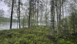 Земля за 35 000 евро в Раутъярви, Финляндия
