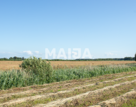 Земля за 185 000 евро в Яунмарупе, Латвия