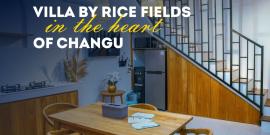 СЕРДЦЕ ЧАНГУ! ВИД НА РИСОВЫЕ ПОЛЯ! - Фото