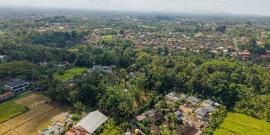 ️ Земля в Убуде, Бали – Розовая зона - Фото