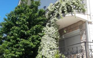 Коттедж за 380 000 евро в Баре, Черногория