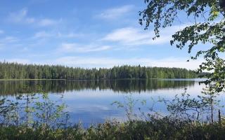 Земля за 45 000 евро в Кухмо, Финляндия