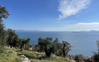 Земля за 130 000 евро на Корфу, Греция