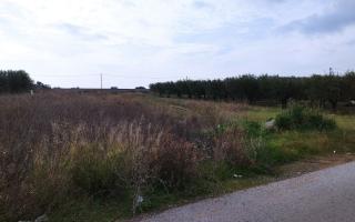 Земля за 90 000 евро на Халкидиках, Греция