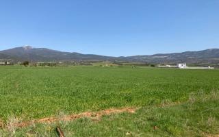 Земля за 75 000 евро в Салониках, Греция