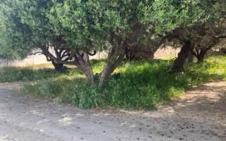 Земля за 500 000 евро в Ираклионе, Греция