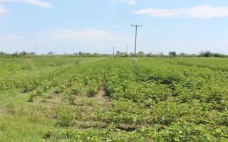 Земля за 200 000 евро в Олимпиаки-Акти, Греция