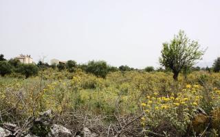 Земля за 170 000 евро в Ираклионе, Греция