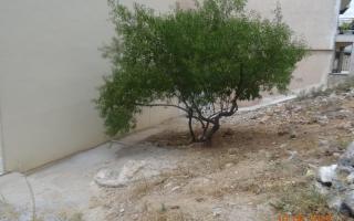 Земля за 320 000 евро в Афинах, Греция