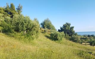 Земля за 250 000 евро на Кассандре, Греция