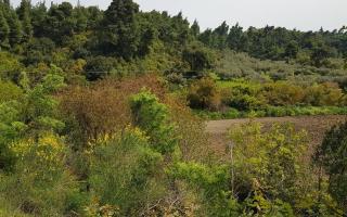 Земля за 250 000 евро на Кассандре, Греция