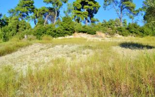 Земля за 160 000 евро на Кассандре, Греция