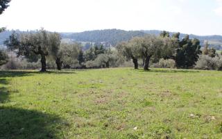 Земля за 500 000 евро на Кассандре, Греция