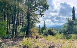 Земля за 260 000 евро на Корфу, Греция