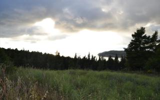 Земля за 210 000 евро на Кассандре, Греция