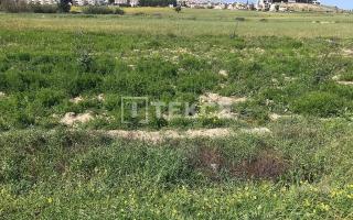 Ферма за 150 000 евро в Искеле, Кипр