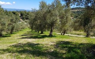 Земля за 150 000 евро на Кассандре, Греция