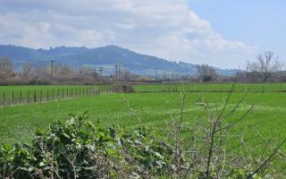 Земля за 230 000 евро на Кассандре, Греция